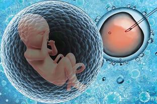 胚胎实验室
